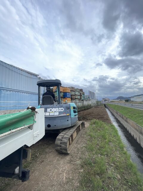 この時期は……