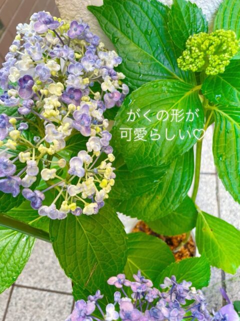 ６月２１日 お天気雨☔